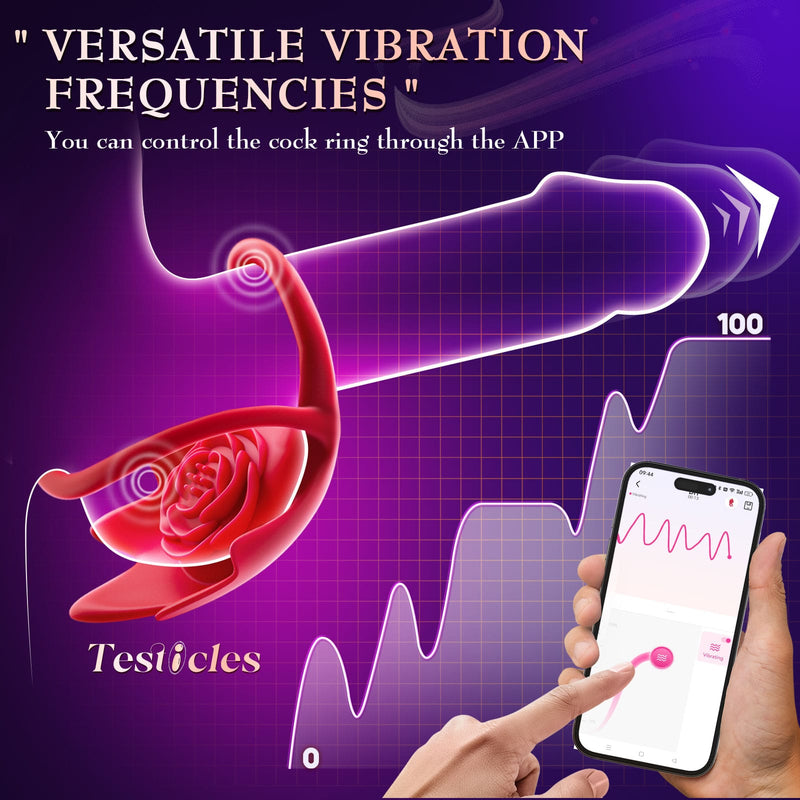 Multifunctional double penis rings with app control 